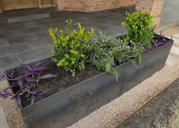 Raised steel garden bed planter.
